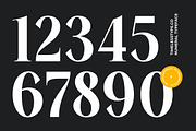Mailyo Modern Serif Display Font, a Serif Font by timelesstype.co (Thumbnail 9 of 20)