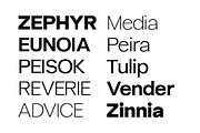 Caliburn Grotesk | Modern Variable, a Sans Serif Font by InkwellTypeCo (Thumbnail 9 of 15)