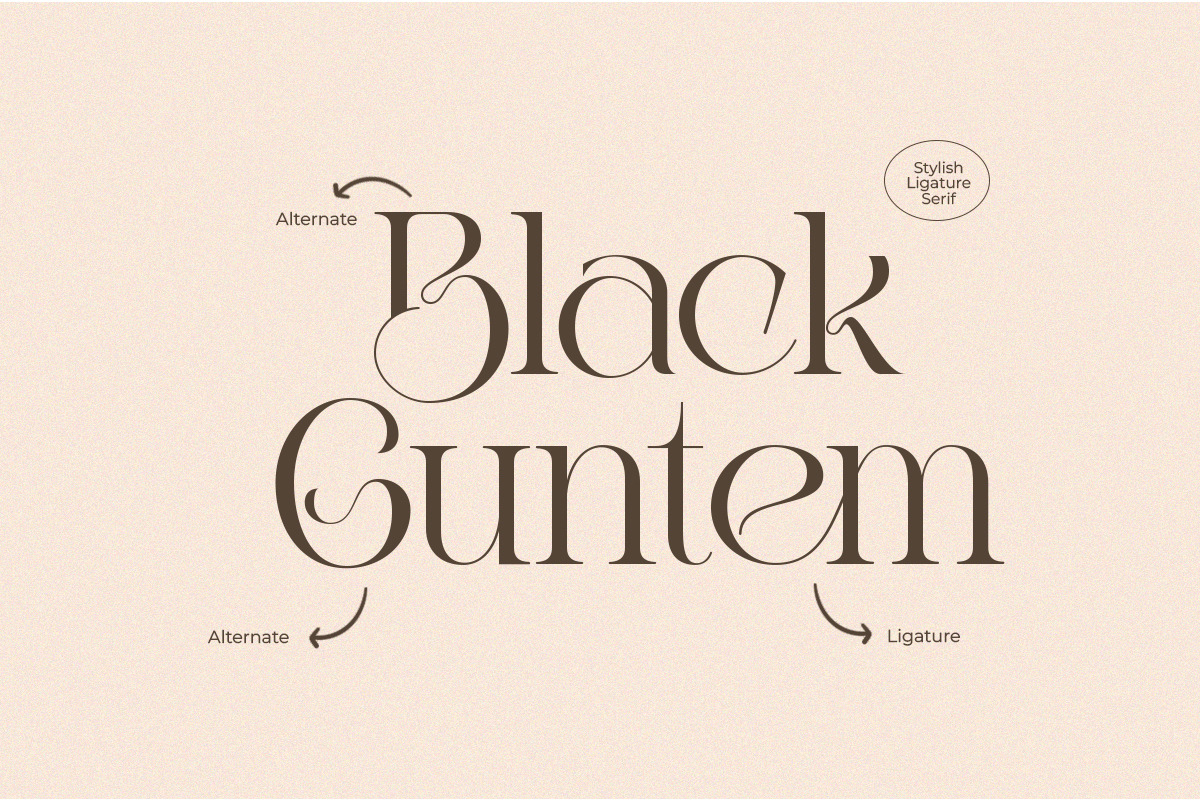 TBJ Rose Angel | Display Serif, a Serif Font by Taboja Studio (Photo 7 of 11)