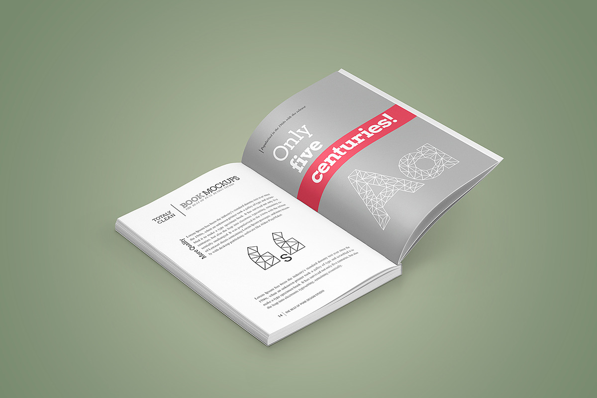 Book Mock-Up / Softcover Edition, a Books & Magazine Mockup by PuneDesign (Photo 10 of 11)