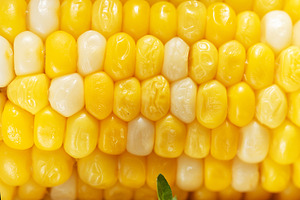 Fresh corn kernels close up with green leaves, a Food & Drink Photo by Olena Rudo