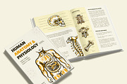 Vintage Antique Anatomy Illustration, a Healthcare Illustration by Creative Stall (Thumbnail 3 of 8)