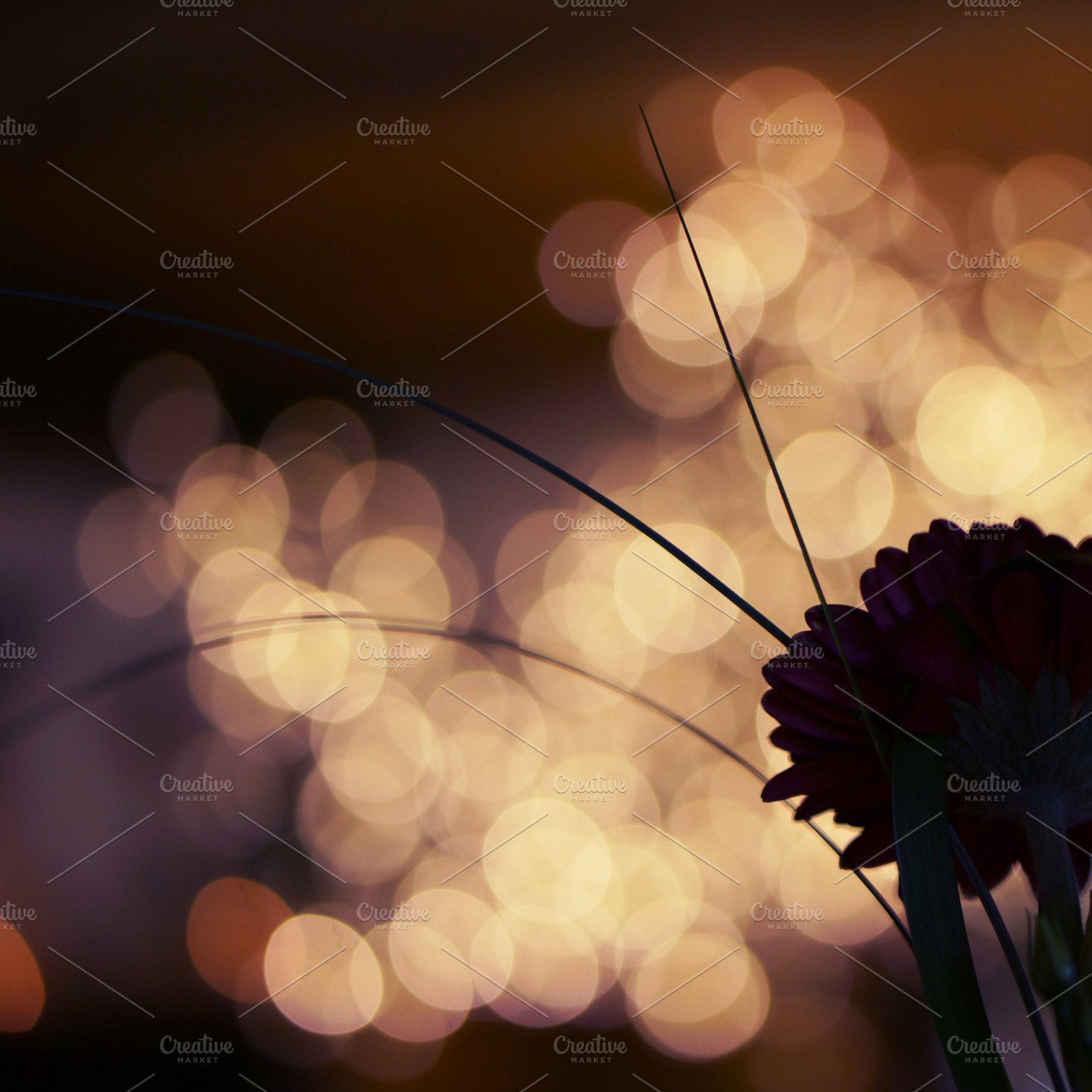 Party flower