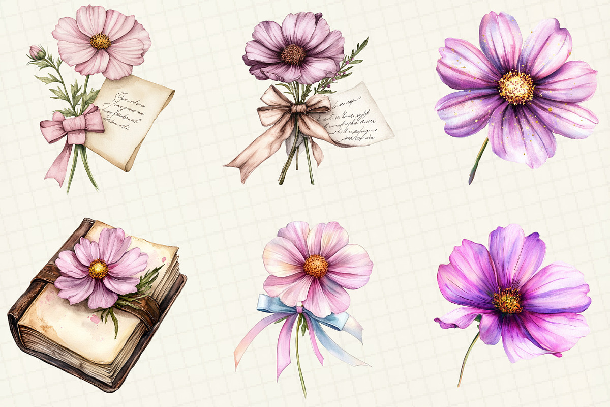 Watercolor Cosmos Flower Clipart, an Illustration by OK Design (Photo 5 of 5)