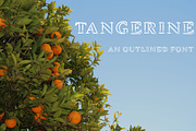 Tangerine, Outlined Font, a Font by WeGraphics (Thumbnail 1 of 3)