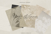 Soft Vellum Floral Paper Textures, a Background Graphic by Laras Wonderland (Thumbnail 11 of 11)