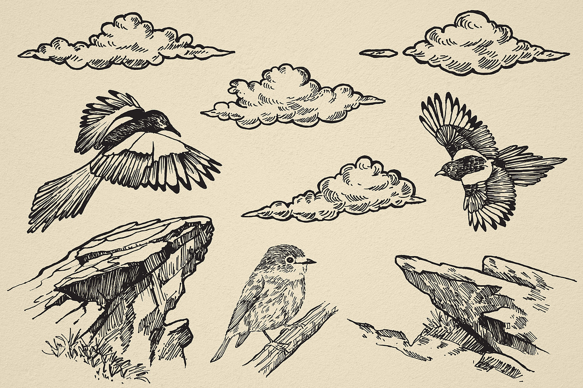 Nature Forest Hand drawn Elements #1, an Illustration by Artolabs (Photo 2 of 4)