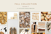 Fall Collection 1, a Beauty & Fashion Photo by Floral Deco (Thumbnail 1 of 8)