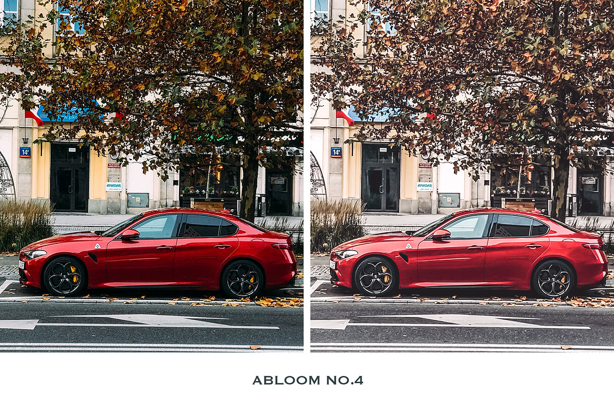 Abloom Lightroom Mobile Presets, a Preset Add-On by VEER (Photo 6 of 10)