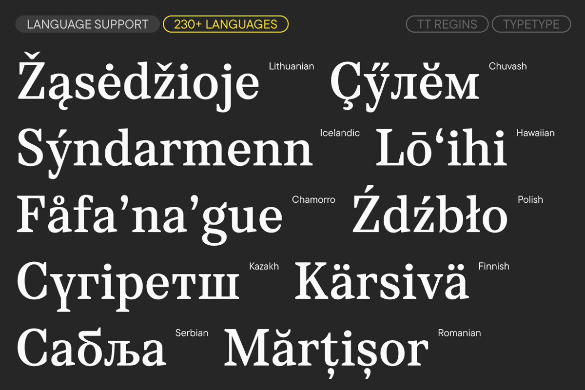 TT Regins, a Serif Font by TypeType (Photo 7 of 15)