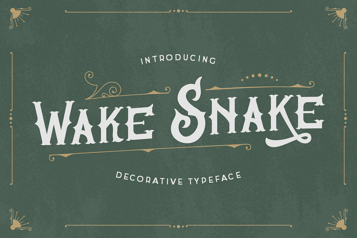 Wake Snake - Decorative Typeface, a Font by Typefactoryco (Photo 1 of 10)