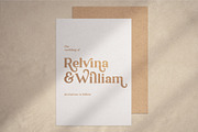 Ambigue Wild Modern x Vintage Serif, a Serif Font by Wandery Supply (Thumbnail 12 of 22)