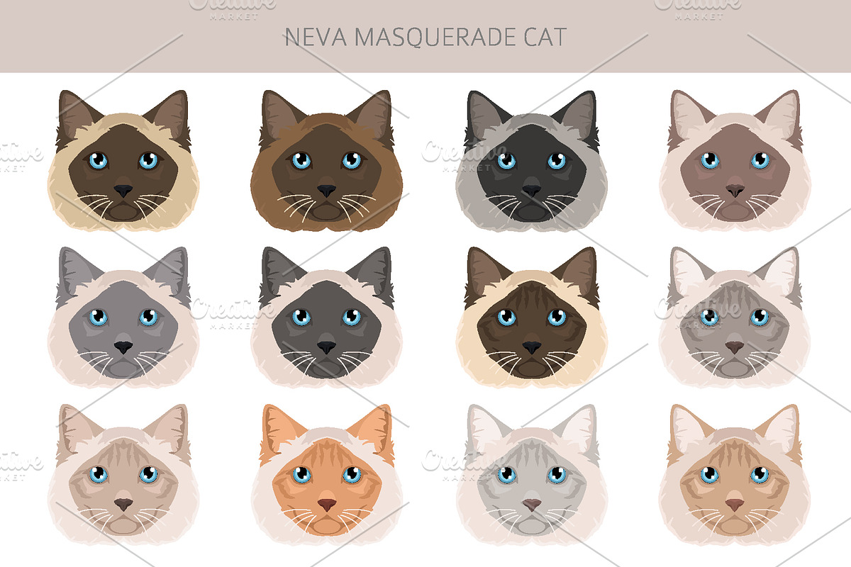 Neva Masquerade cat, an Animal Illustration by pet design shop (Photo 5 of 6)