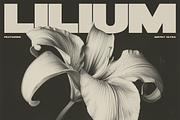 Girthy Ultra Sans, a Sans Serif Font by Tom Gordon Design (Thumbnail 5 of 6)