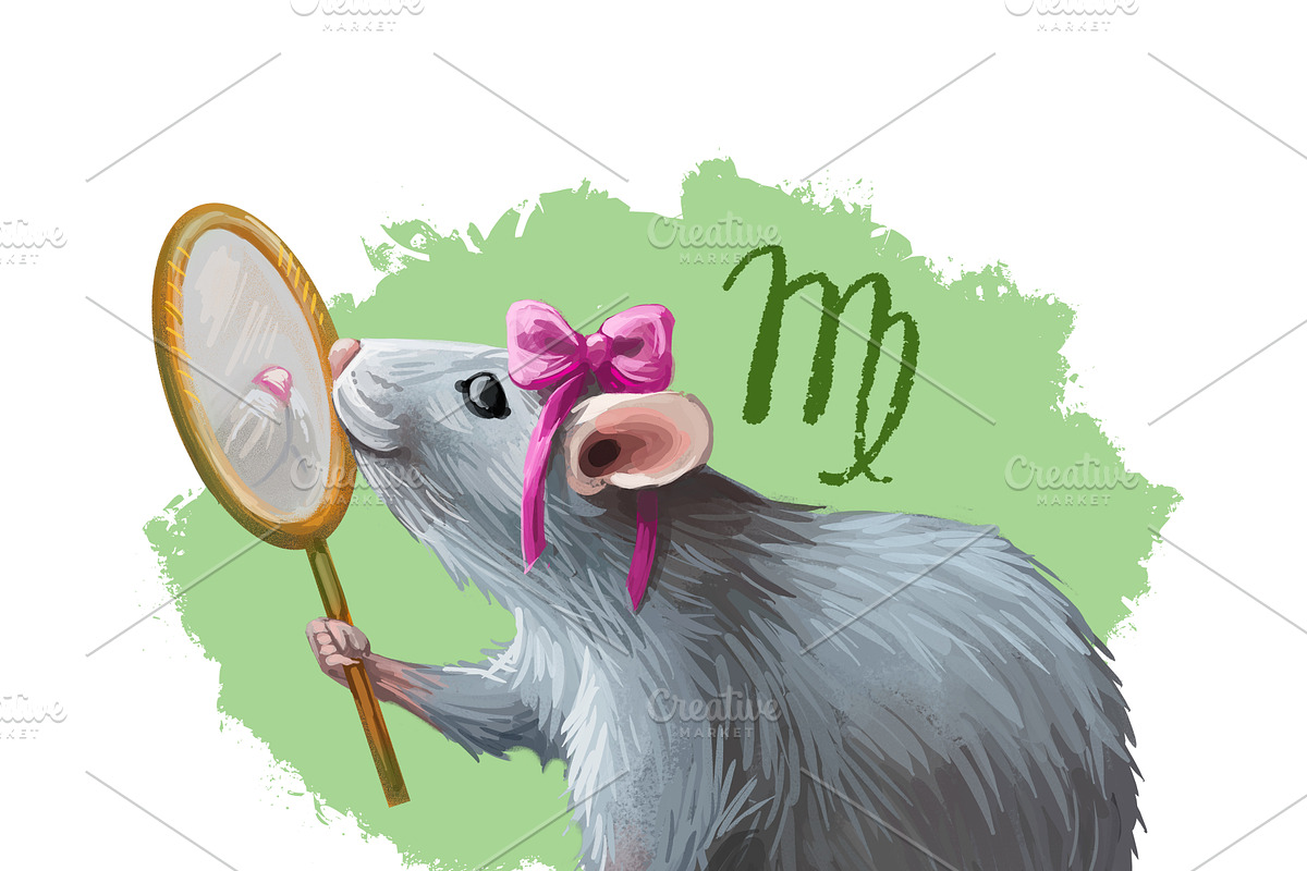 2020 year RAT Horoscope Zodiac Signs, an Animal Illustration by Dneprstock (Photo 8 of 8)