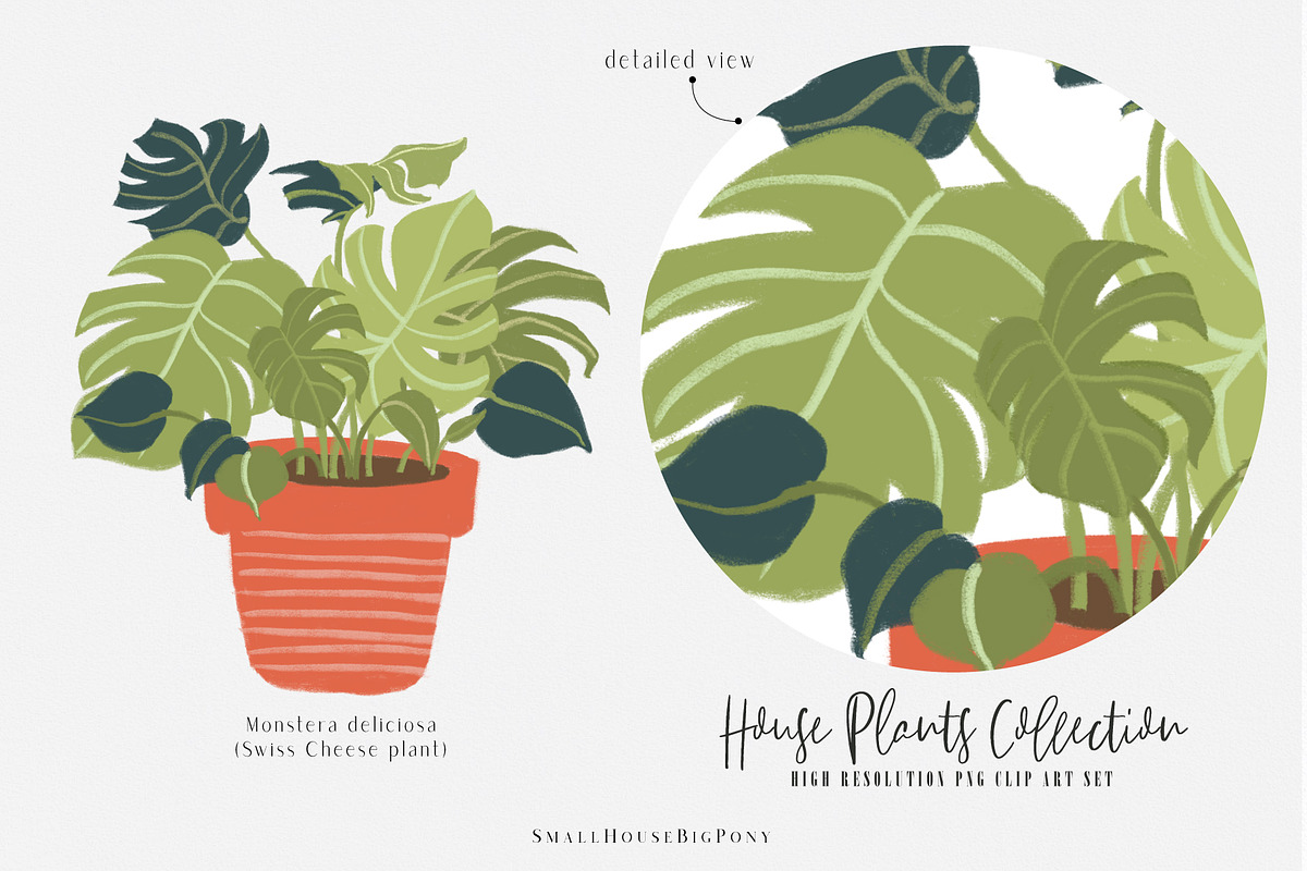 House Plants Collection, a Graphic by SmallHouseBigPony (Photo 12 of 18)