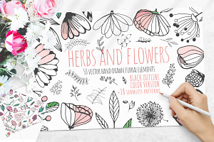 Floral Elements. Seamless Patterns.