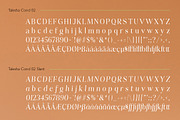 Talesha Font Family, a Serif Font by Seniors (Thumbnail 28 of 30)