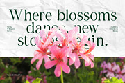 Haven Kindred Decorative Script Font, a Script Font by Vadovastd (Thumbnail 4 of 7)