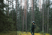 Mobile Lightroom Presets, an Action Add-On by The Red Pine (Thumbnail 9 of 9)