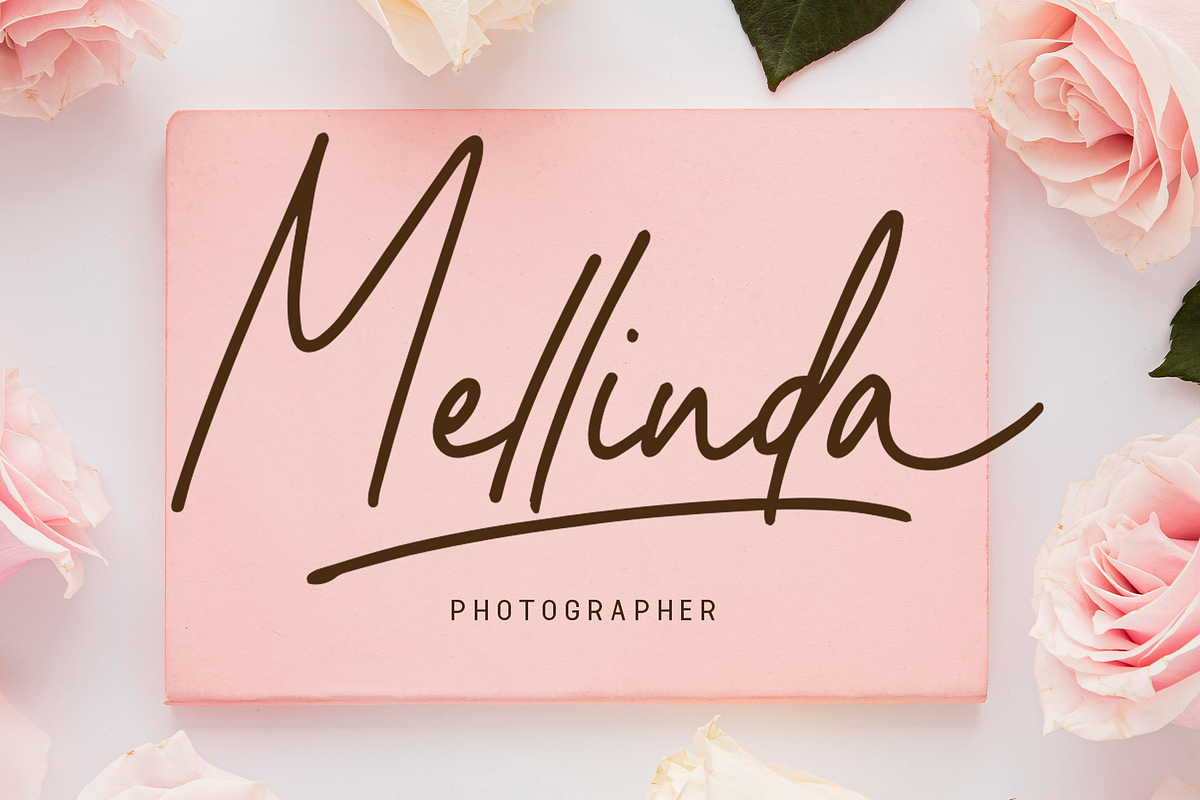Heralline - Handwritten Script Font, a Script Font by overlaytemplates (Photo 2 of 5)