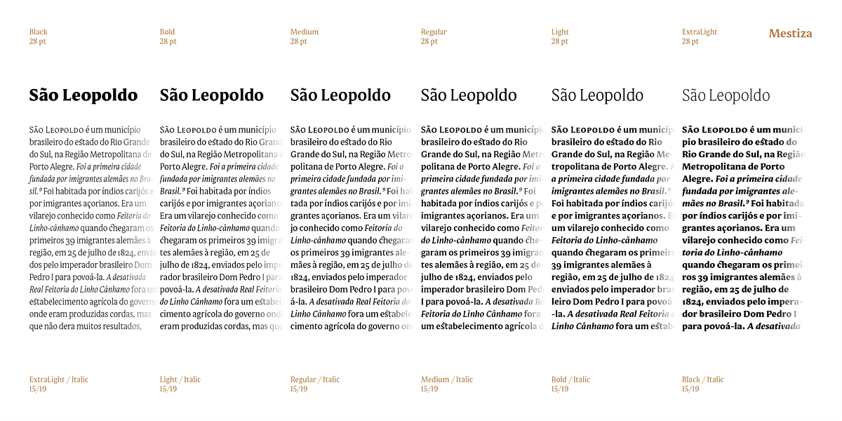 Mestiza, a Serif Font by Lechuga Type (Photo 5 of 16)