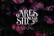 Blistao Tatto Serif Font, a Serif Font by Perfectype (Thumbnail 4 of 8)
