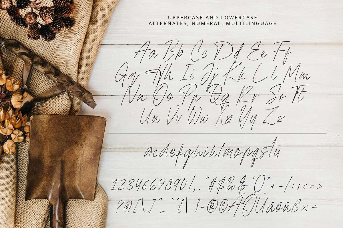 Writtenbook - Handwritten ScriptFont, a Script Font by overlaytemplates
