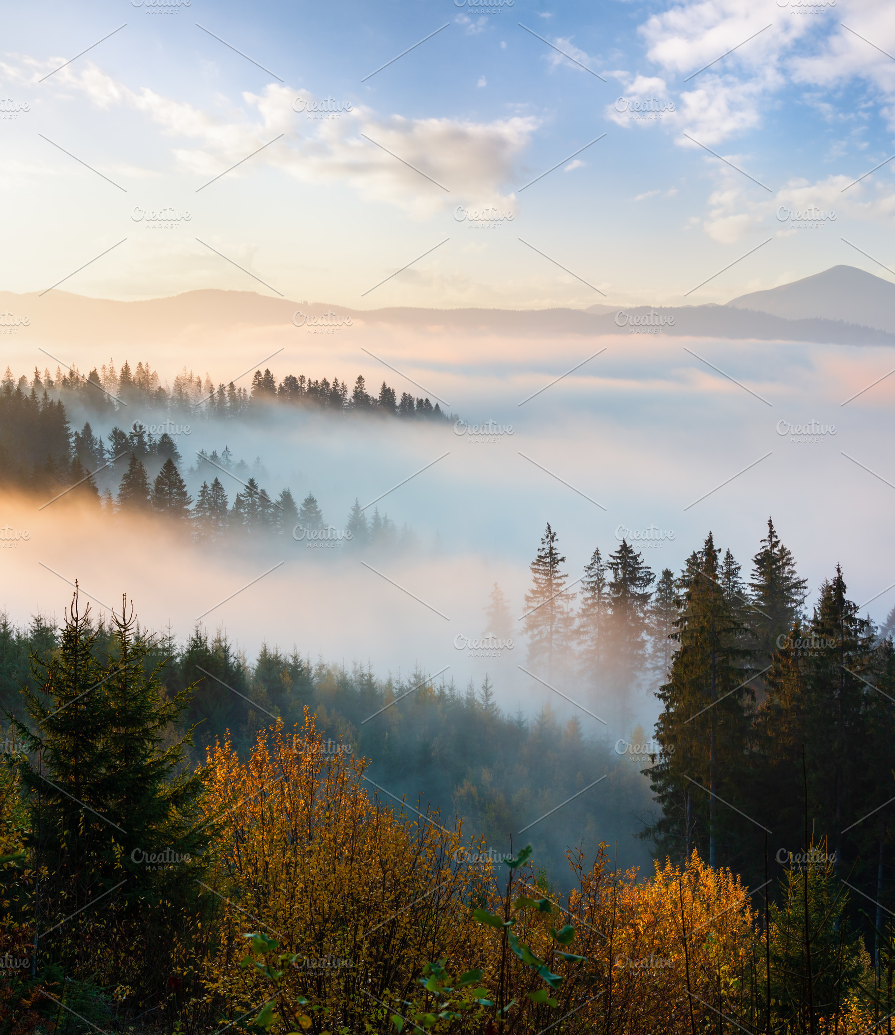 Autumn Carpathians, Ukraine., a Nature Photo by YuriyB