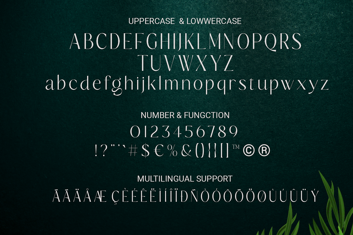 Belavey Modern Luxury Display Font, a Sans Serif Font by RHD Creative Studio (Photo 9 of 9)