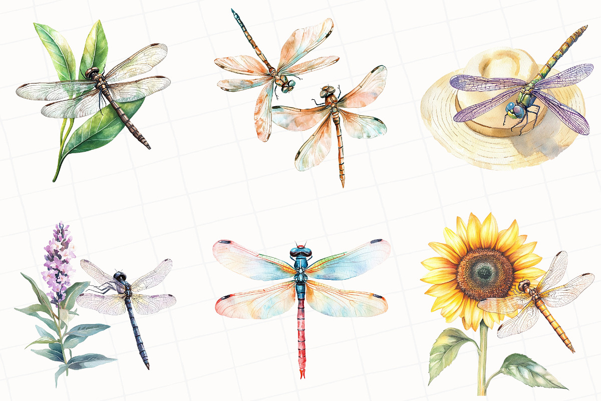 Summer Dragonfly Garden Clipart, an Illustration by OK Design (Photo 4 of 5)