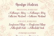 Miss Elizabeth Script, a Script Font by Ornaments of Grace (Thumbnail 6 of 12)