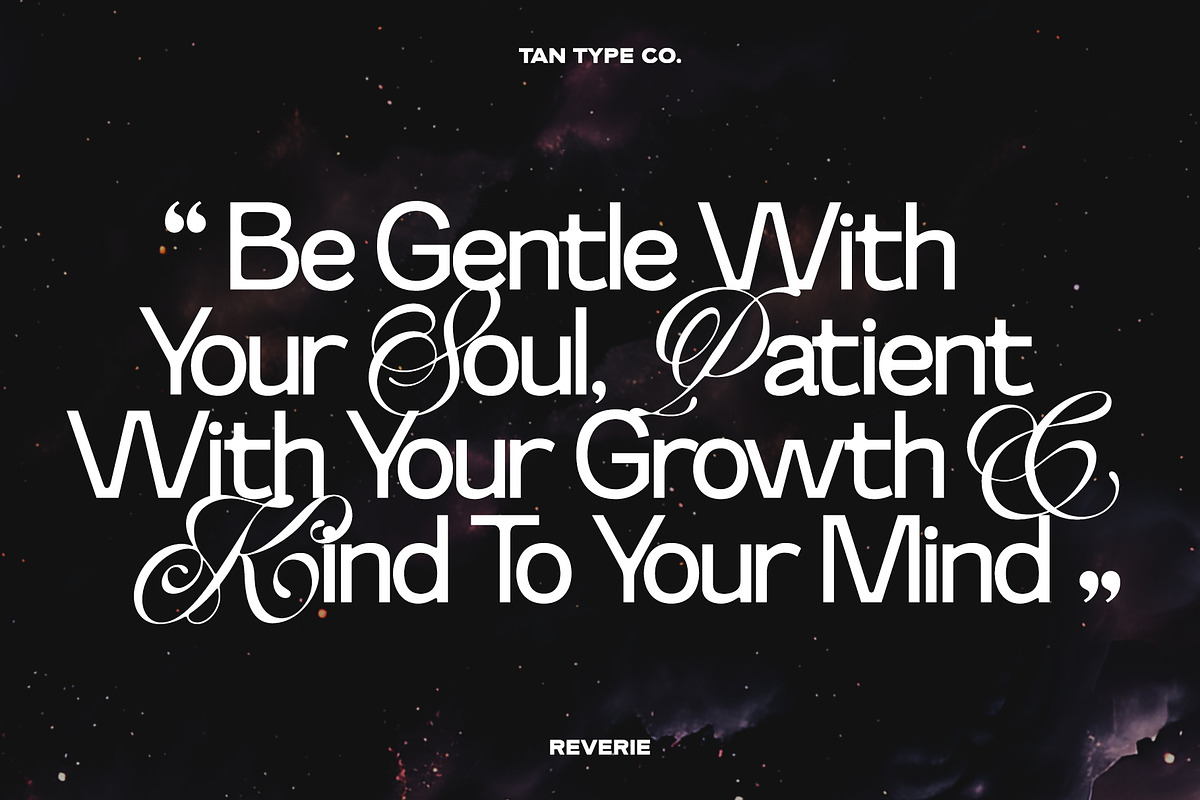 TAN-THE REVERIE, a Sans Serif Font by TanType (Photo 2 of 11)