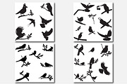 Bird silhouettes, Vector Collection, an Object Graphic by Orangepencil (Thumbnail 4 of 6)