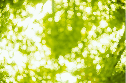 Spring bokeh background, an Abstract Photo by Our Amazing World