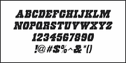 Eccentric Wood Type JNL, a Slab Serif Font by Jeff Levine Fonts (Thumbnail 5 of 5)