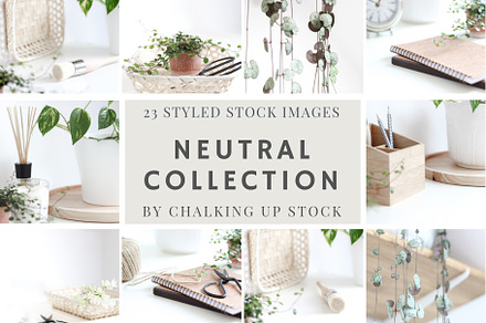 Neutral Collection | Styled Stock