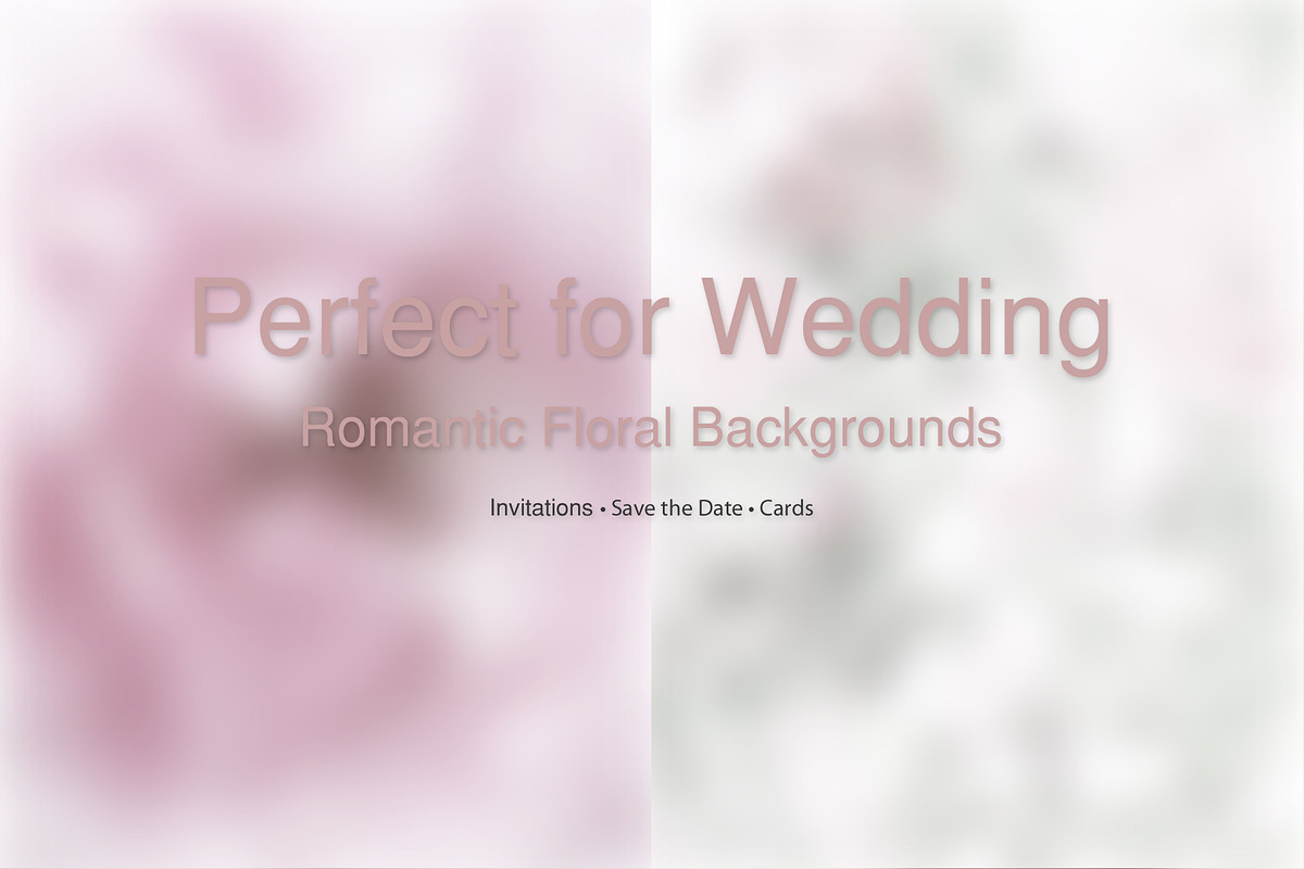65 Soft Bloom Blur Backgrounds., a Background Graphic by TaPilipa (Photo 2 of 9)
