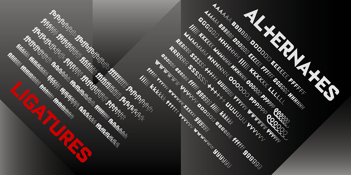 Bourgeois, a Sans Serif Font by Barnbrook Fonts (Photo 9 of 10)