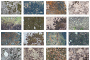16 Moss Photo Textures preview 4