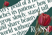 Malika Rosse, a Serif Font by saemoon creative (Thumbnail 13 of 15)