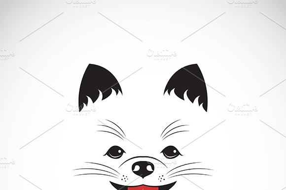 Vector Image Of An Pomeranian Dog