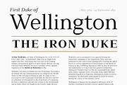 Millard, a Serif Font by Artegra (Thumbnail 3 of 15)