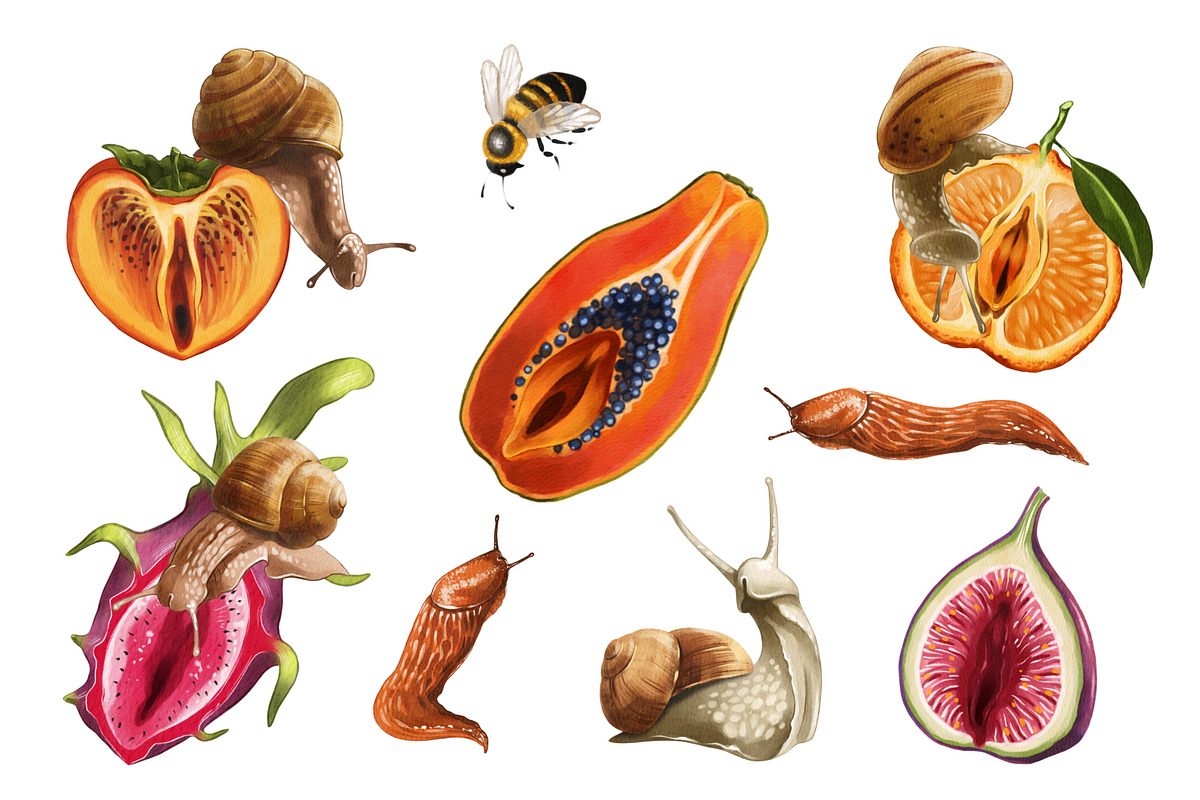 Genitals in the form of fruits, an Illustration by IrynaPanashii (Photo 2 of 11)