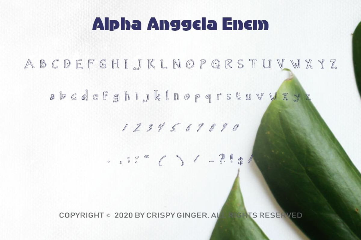 Alpha Anggela - 18 Font styles, a Script Font by Gblack Id (Photo 8 of 13)
