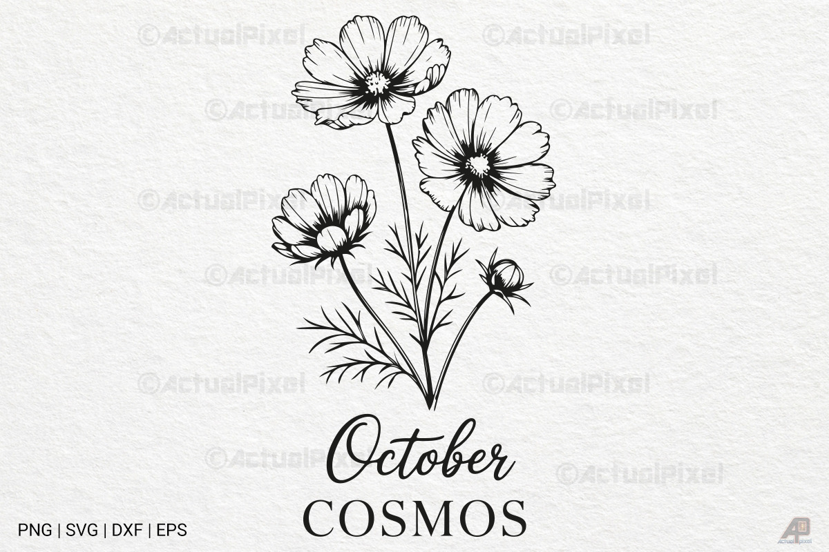 Birth Month Flowers SVG PNG Bundle, an Illustration by Actual Pixel (Photo 8 of 24)