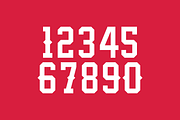Rose Thorn Numeral Set, a Serif Font by Port Design Company (Thumbnail 2 of 5)