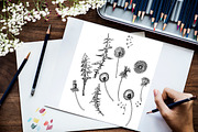 Dandelions  Sketches Clipart, a Decorative Illustration by Nataliapiache (Thumbnail 3 of 5)