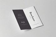 Tri-Fold DL Brochure Mock-up, an Advertising Mockup by zippypixelstudio (Thumbnail 9 of 11)