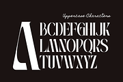 Roave - Modern Elegant Serif Font, a Serif Font by Illushvara Design (Thumbnail 4 of 11)
